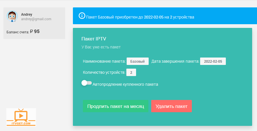 скриншот купленного пакета