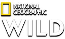 National Geographic Wild