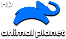 Animal Planet HD CEE