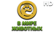В Мире Животных HD