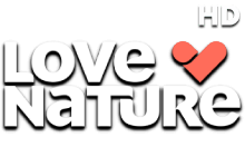 Love Nature HD
