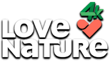 Love Nature 4K