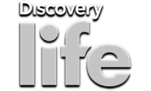 Discovery Life [PL]