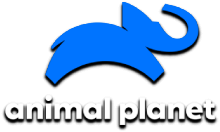 Animal Planet [CZ]