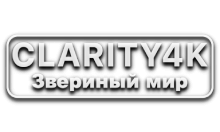 Clarity4K Звериный Мир